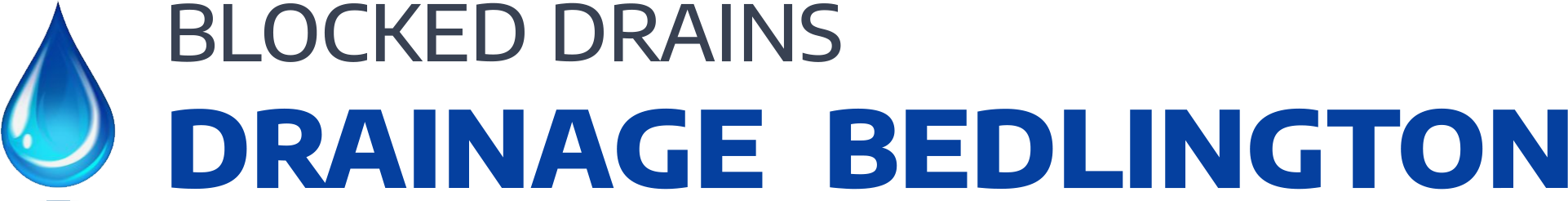 website logo